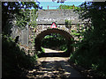 Pipplepen Railway Bridge in North Perrott