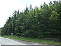 Woodland beside Airdrie Road (A89) in ML6 7QY