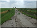 Farm track near Lister's Farm in IP26 4ER