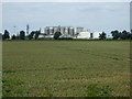 Crop field, Methwold Severals in PE33 9SD