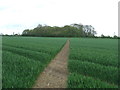Footpath in Bungay & Wainford Ward