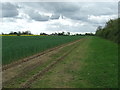 Footpath And View Of Tithe Farm in NR35 1NA