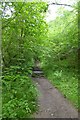 Footpath to Goathland from West Beck in YO22 5JU