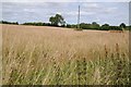 Grassland field beside Rochford Mount in WR15 8SP