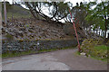 Start of the track to Loch Damh in IV54 8XP