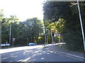 Fernbank Road at the junction of London Road in SL5 8TZ