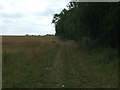 Farm track off Methwold Road (B1112) in IP26 4RG