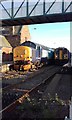 Class 37 at St Bees station in CA27 0AP