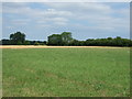 Farmland near Edgewell in IP26 5NQ