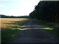 Track heading south from Thetford Road (B1107) in IP27 0TG