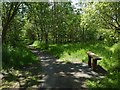 Path and bench in Garscadden Wood in G61 4DT