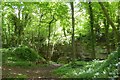 Former stone quarry in Lowther Wood, Pickering in YO18 8JZ