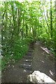 Steps to a footpath into Lowther Woods, Newbridge in YO18 8JZ