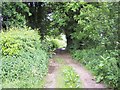 Bridleway near Bloxworth in BH20 7EF