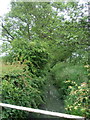 Stream off Godleybarn Lane in ST10 2PX