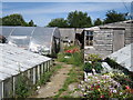 Outbuildings at Kent Street Nurseries in TN33 0SB
