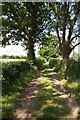 Bridleway near Thorn Farm in WR6 6HD