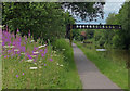 Tunstall Pipe Bridge crossing the Trent & Mersey Canal in ST6 5TY