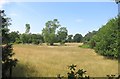 Fields near Snape Warren in IP17 1SA