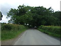 Minor road towards Yeaveley  in Yeaveley