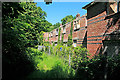 The derelict Park Cottages at Knowle in PO17 5GG