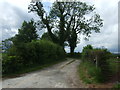 Farm track off Marsh Hollow in Hollington