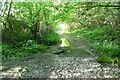 Dry ford on the Monarch's Way in DT6 5NP