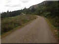 Forestry road above Loch Linnhe in PH33 6SE