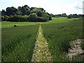 Footpath to Butland Farm in BH20 7EX