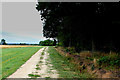 Track beside Birkham Wood in Plompton