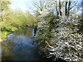 River Beult at Yalding in ME18 6BF