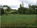 Crop field off Ashbourne Road (A52) in Kirk Langley