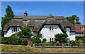 Village houses, Ham, Wiltshire in SN8 3QT