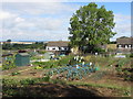 Allotments in Charlbury in Charlbury