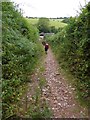 Footpath to Stokeinteignhead from Higher Roccombe in TQ1 4SY