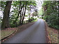 Bridge over a small stream in the grounds of Lamphey Court Hotel, Lamphey in SA71 5PE