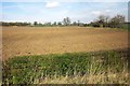 Field by Sandbeck Approach in LS22 5HG