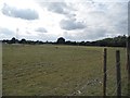 Field in Welham Green in AL9 7HN