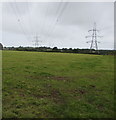 Two rows of electricity pylons south of Pembroke in SA71 5QW