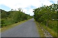 Mawddach trail embankment in LL40 2TT