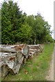 Timber by the Woodcock Way in Dalby Forest in YO18 7LR