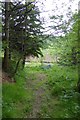 The foot of the path along Nattley Griff in Dalby Forest in YO18 7LR