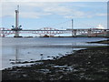 Firth of Forth foreshore in EH30 9SH
