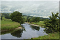 The River Ribble above Sawley in BB7 4RS