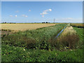 Stow Bardolph Fen in PE38 0AL