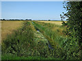 Ditch off White City Road in PE38 0AL
