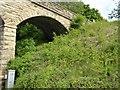 Darnholme Lane bridge in YO22 5LL