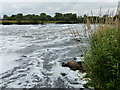 River Trent near Sawley Weir in NG10 3DH