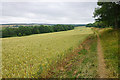 Wheat field above Chipping Campden in GL55 6UN