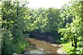 River Esk from Hecks Wood Bridge in YO22 5ET